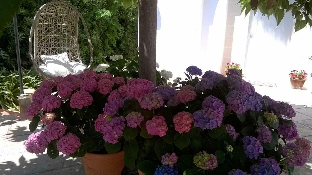 B&B Le Vele Маруджо Экстерьер фото